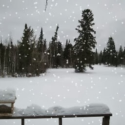 Edward Ames Photo 40 Edward Ames Photo 40