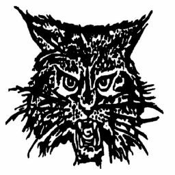 Cindy Johnston Photo 22