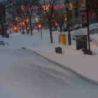 Asha Singh Photo 20 Asha Singh Photo 20