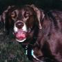Nancy Stevens Photo 39