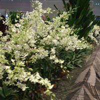 Geraldine Ruiz Photo 12