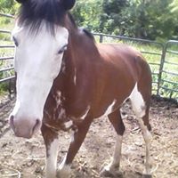 James Tipton Photo 43