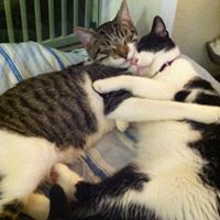 Karrie Chapman Photo 10