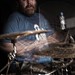 Ellis Ingram Photo 12