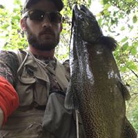 Travis Mcknight Photo 18