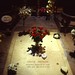 Patricia Cote Photo 10