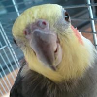 Ruthie Meade Photo 4