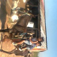 Victoriano Rodriguez Photo 15