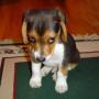 Gary Swenson Photo 26