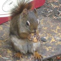 Kenny Summers Photo 11