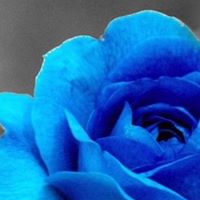 Erica Smalls Photo 11