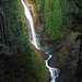 Anthony Mohr Photo 8