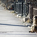 Catherine Chien Photo 24