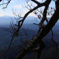 Casey Henning Photo 7