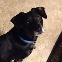 Steven Buck Photo 25