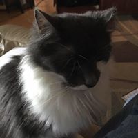 Carolyn Devine Photo 12