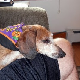 Donna Mcmillan Photo 12