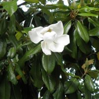 Billie Franklin Photo 11