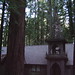 Dorothy Camp Photo 15