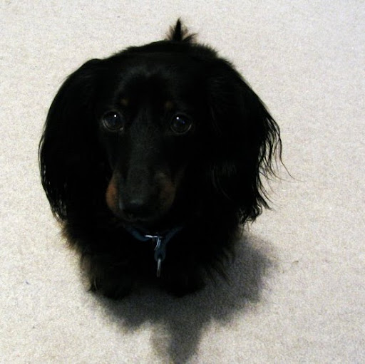 Elizabeth Leach Photo 10