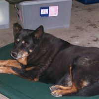 Owen Connolly Photo 5 Owen Connolly Photo 5