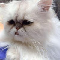 Carolyn Tobin Photo 10