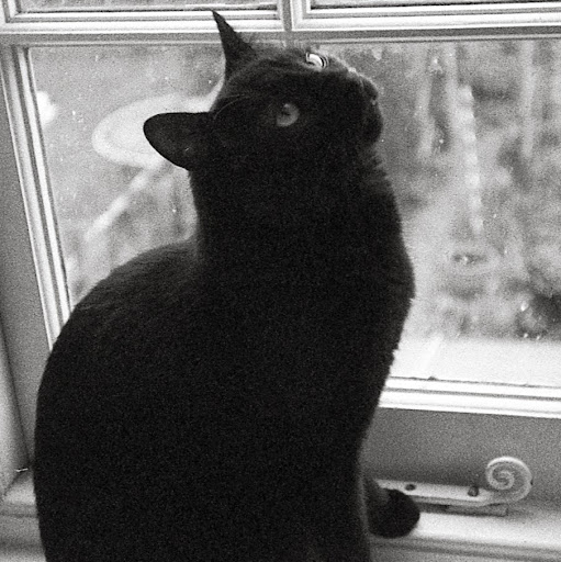 Juliet Walker Photo 10