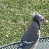 Ruth Erickson Photo 14 Ruth Erickson Photo 14