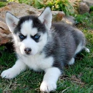 Vickie Lopez Photo 6