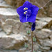 Sam Merrill Photo 7
