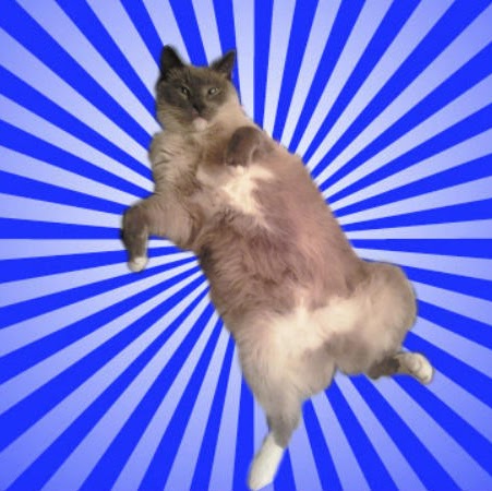 Rachel Means Photo 3