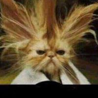 Kathy Ogden Photo 12