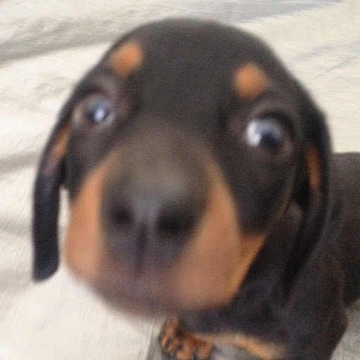 Jason Thornton Photo 23