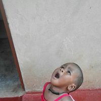 Scott Godfrey Photo 8