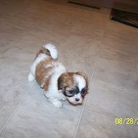 Dianne Erickson Photo 12