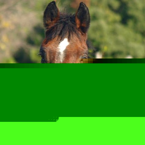 Cindy Bernard Photo 43