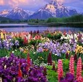 Crystal Wolf Photo 23