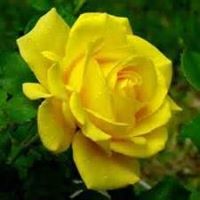 Christy Bush Photo 13