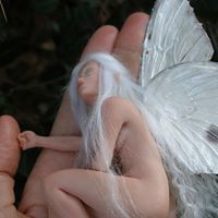 Sarah Bolden Photo 26