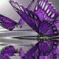 Sarah Wilder Photo 12