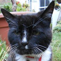 Sara Mackenzie Photo 10