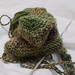 Deborah Zimmerman Photo 11