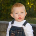 Andrew Gibbs Photo 24