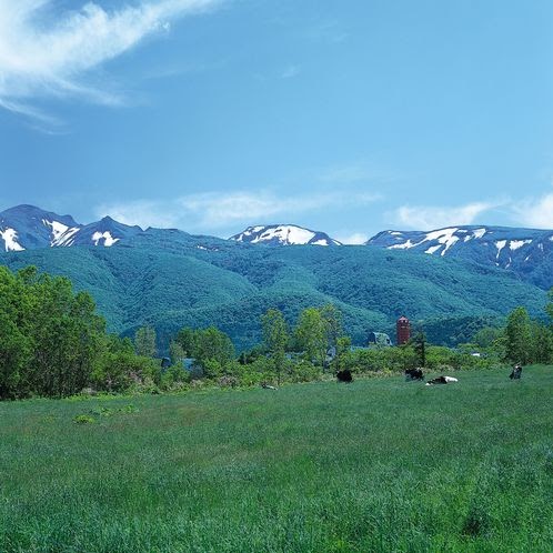 Paul Reed Photo 18