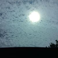 Anna Gardner Photo 13