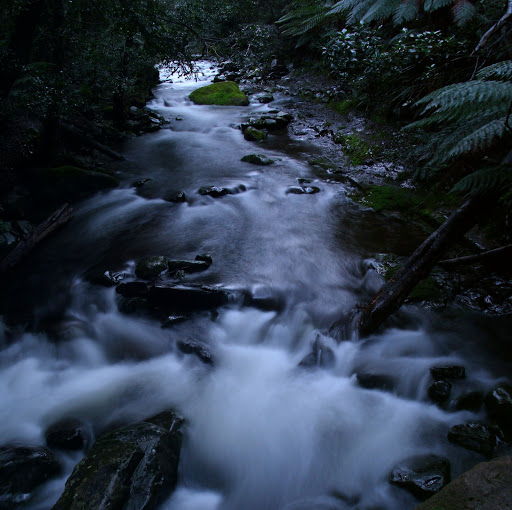 Matthew Rowe Photo 17
