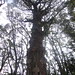 Flora Bishop Photo 10