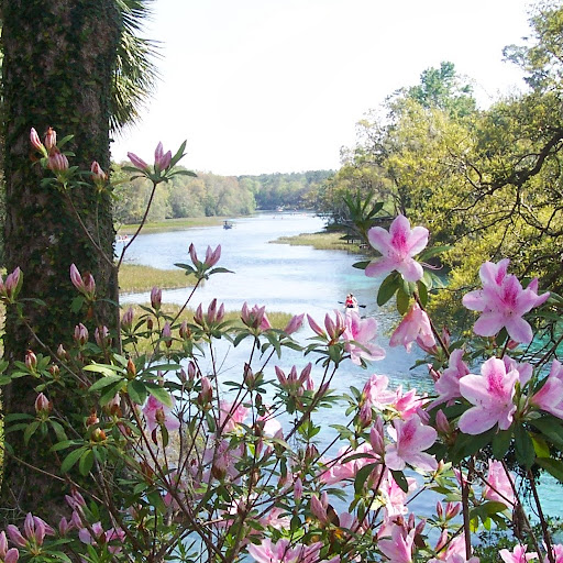 Debby Rodriguez Photo 11