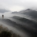 Qiang Chen Photo 18