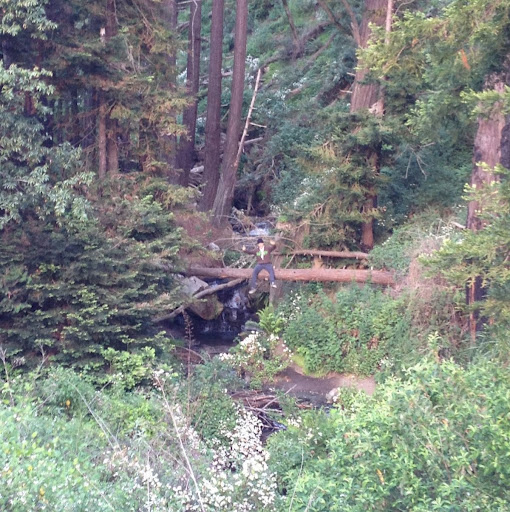 James Raney Photo 10